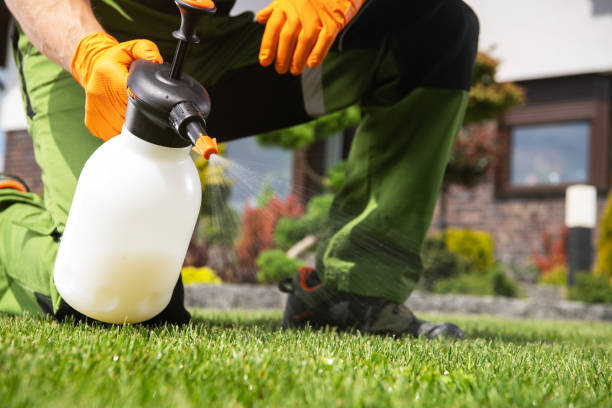 Best Bed Bug Extermination  in Silsbee, TX