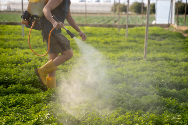 Best Wildlife Control Services  in Silsbee, TX